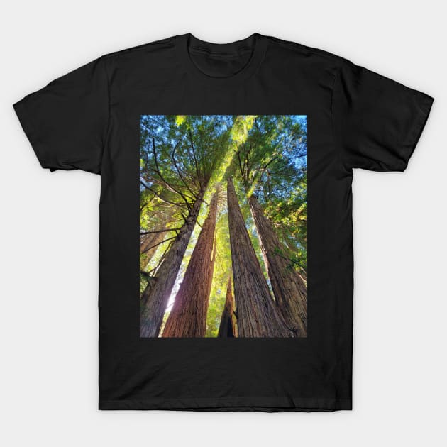 Lightbeams T-Shirt by tomprice